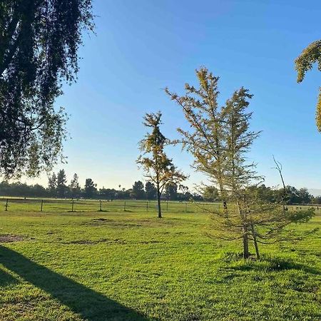 Hidden Gem La 2Bd House With Dreamy Backyard Villa ลอสแอนเจลิส ภายนอก รูปภาพ